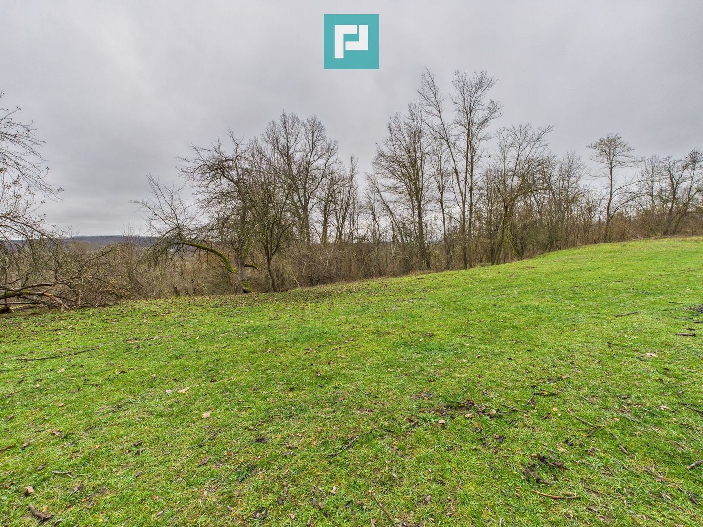 Casă cu teren de 24.679,73 mp, în Hălmagiu, Arad - Poză 18