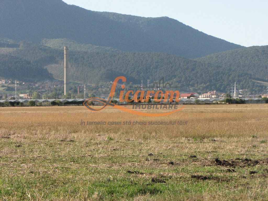 Codlea teren constructii industriale sau logistice 8 ha pana la 24 Ha - Poză 10