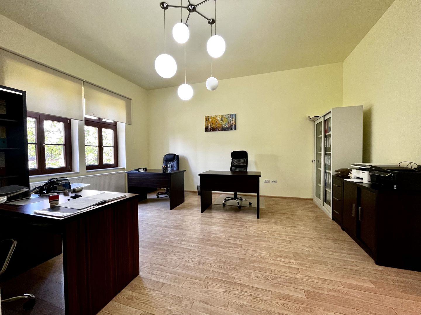 Apartament pretabil birou sau investiție, Central - Take Ionescu - Poză 1