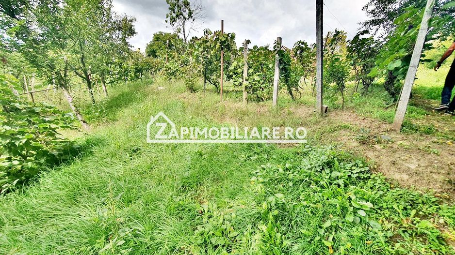 Teren 3.412 mp,zona Belvedere 45 euro mp - Poză 10