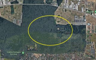 PIPERA, Padurea Baneasa, 3.250.000 mp. ideal aventura parc - Poză 2