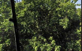 Apartament 2 camere, 53 mp, etaj 3/4, 2 balcoane, garaj, Țiglina 2 – Galați - Poză 21