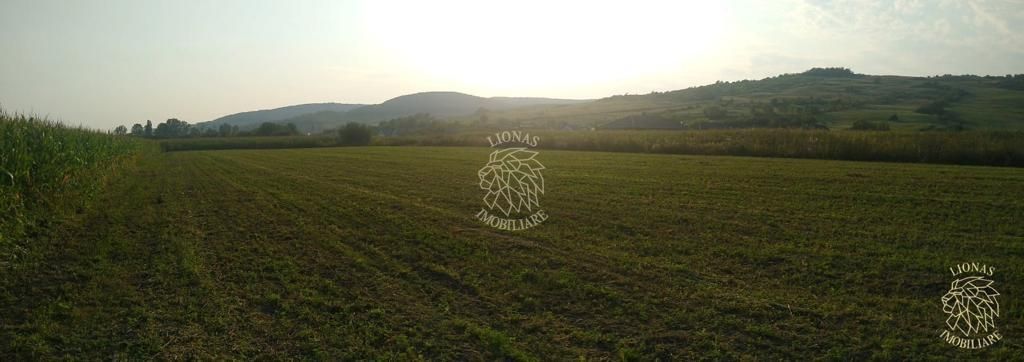 Teren 5500 mp-oportunitate investitie-pretabil cabana-Jelna - Poză 3