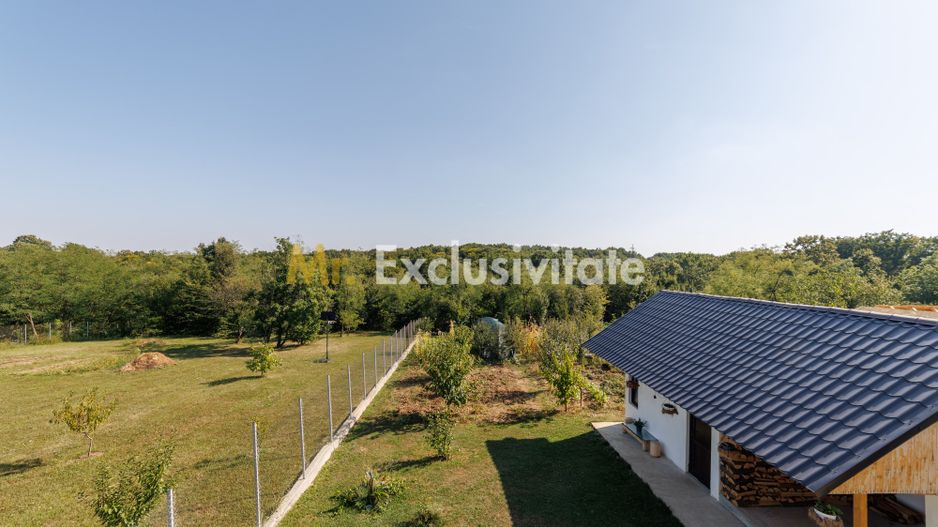 Casa cu 5 camere, Babana, AG - Poză 13