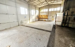 Casă + Afacere + Relaxare = Investiția Perfectă, in Cioranii de Jos - Poză 23