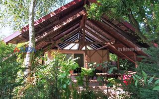 AZURA Imobiliare Pitesti - Casa Gavana Pozitie Excelenta - Poză 80