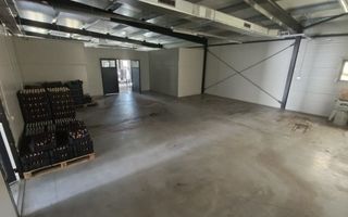 Spațiu comercial, producere+plantație de aronie, Timiș - Poză 7