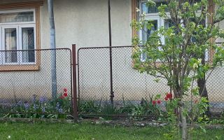 Vând imobil în comuna Bivolari, județul Iași. - Poză 4