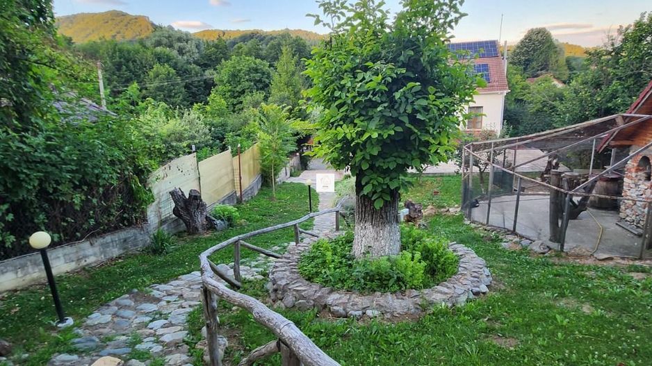 Vila Horezu Romanii de Jos - Poză 44