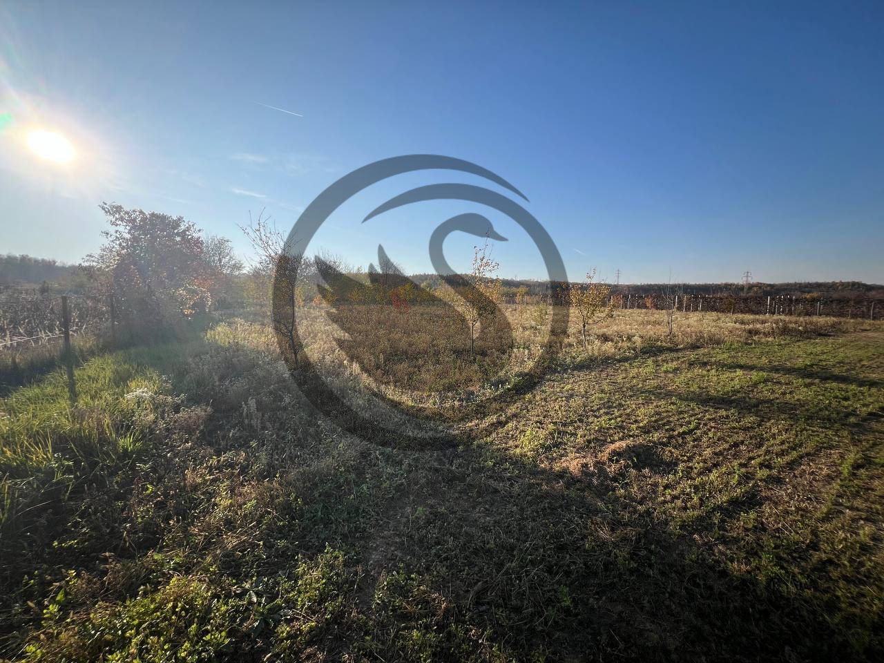Teren intravilan de vanzare | 12.650 mp | Ghirdoveni, | COMISION 0% - Poză 7