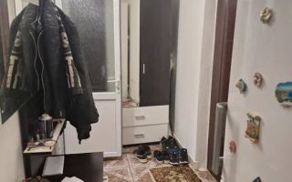 2 camere - 50mp - Renovat - Beci propriu - Lunca Cetatuii - Poză 3