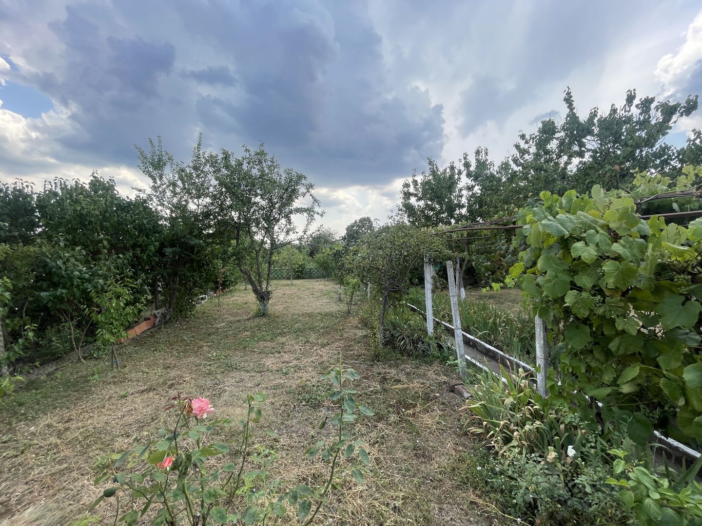 Casa | 9 camere | Garaj | Piscina | Teren 3.000 mp | Comision 0% - Poză 38