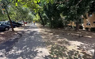 2 camere, zona Sala Olimpia - stadion Dan Paltinisan -Complex Studentesc - Poză 29