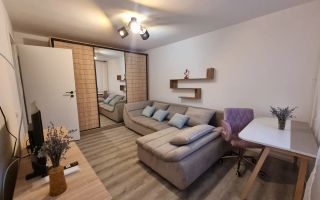 Apartament cochet cu doua camere, Titulescu-Victoriei - Poză 1