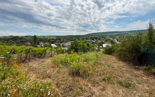 Teren in Goruni comuna Tomesti 12 km de rond Podu Ros - Poză 5
