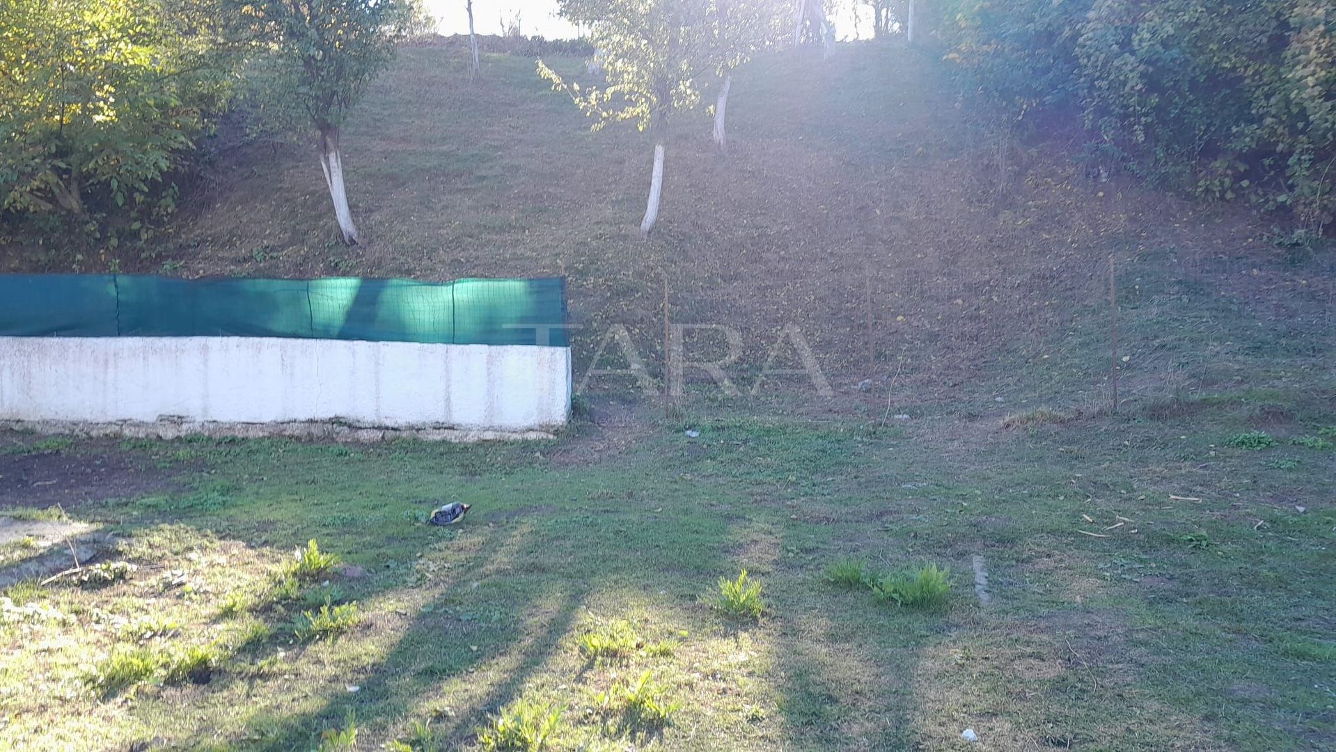 Casă demolabilă și teren generos – Sat Gheorgheni - Poză 1