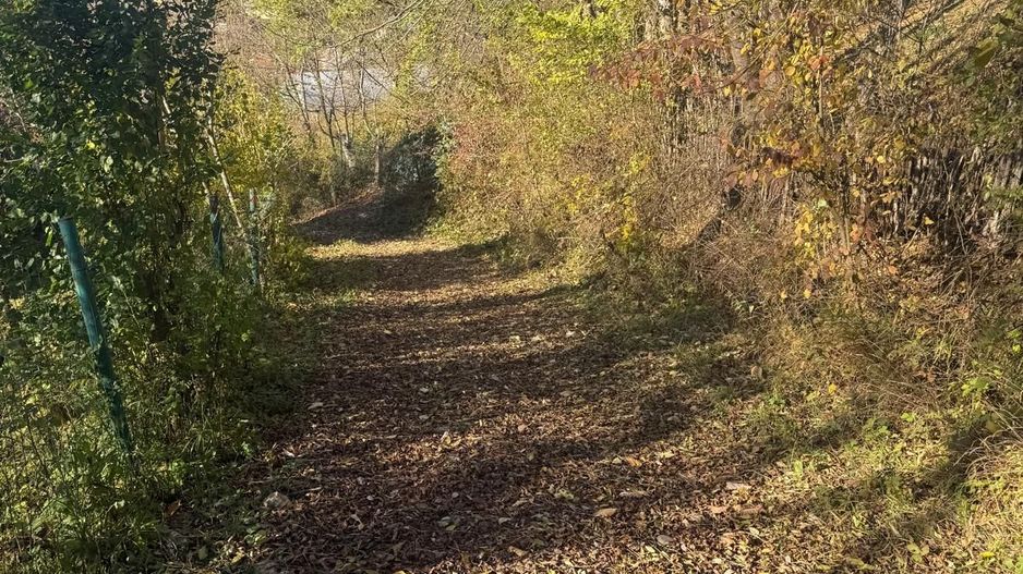 Teren langa pădure 6400mp+casa demolabila-deschidere 35 ml - Poză 14