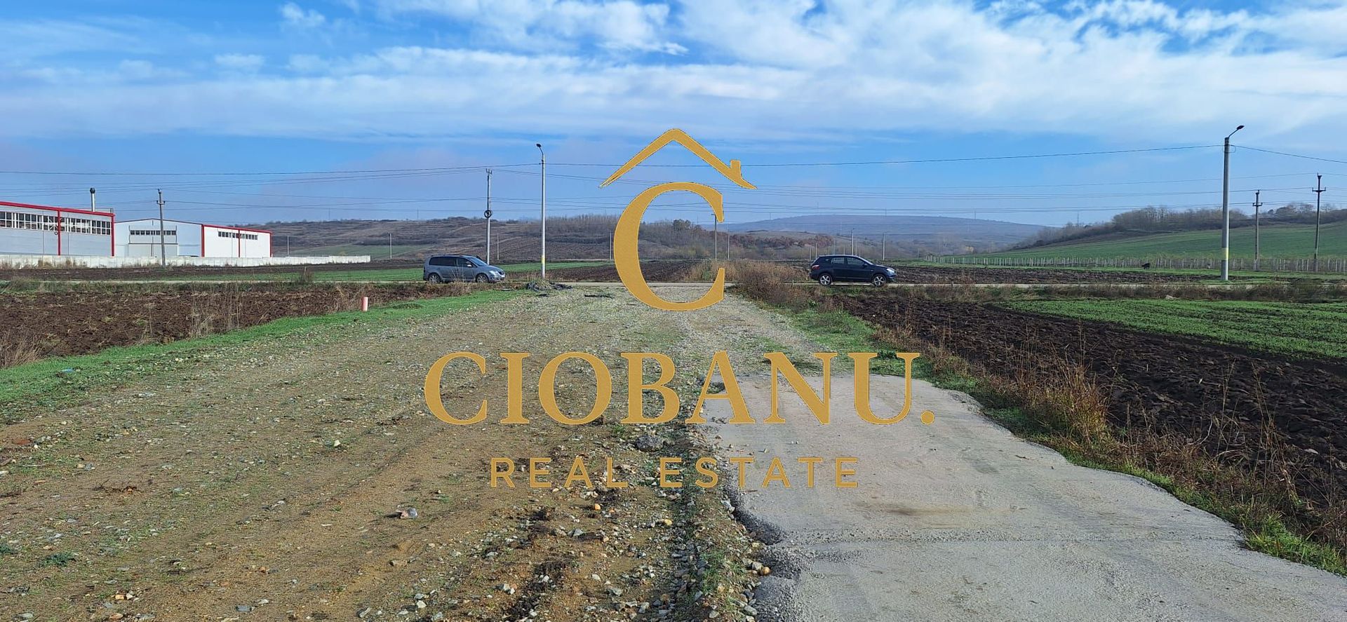 Hala de vanzare in Racari de Jos - Poză 15