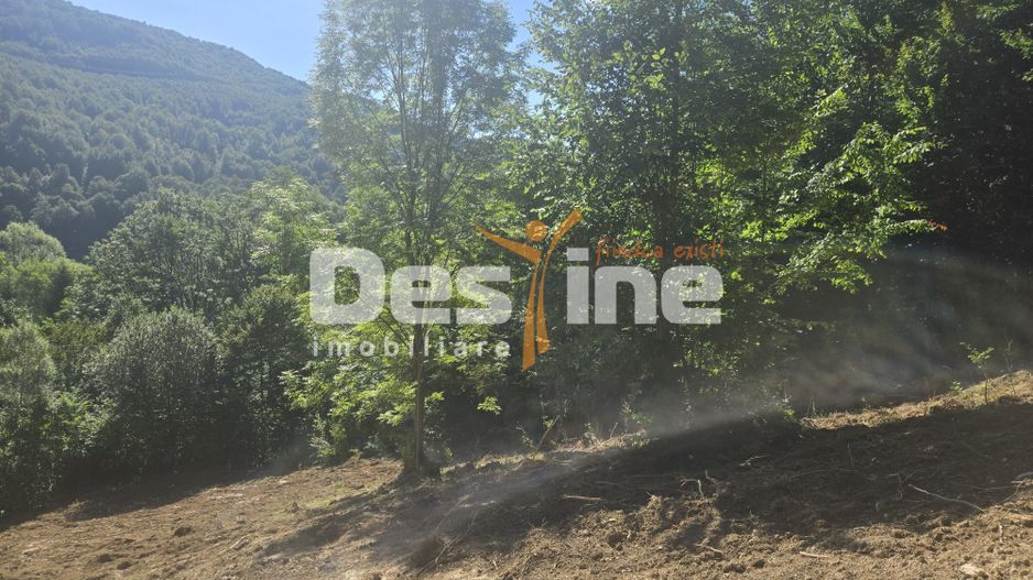 Teren Valea Doftanei,  zona Pe Vale - Baraj Paltinu - Poză 2