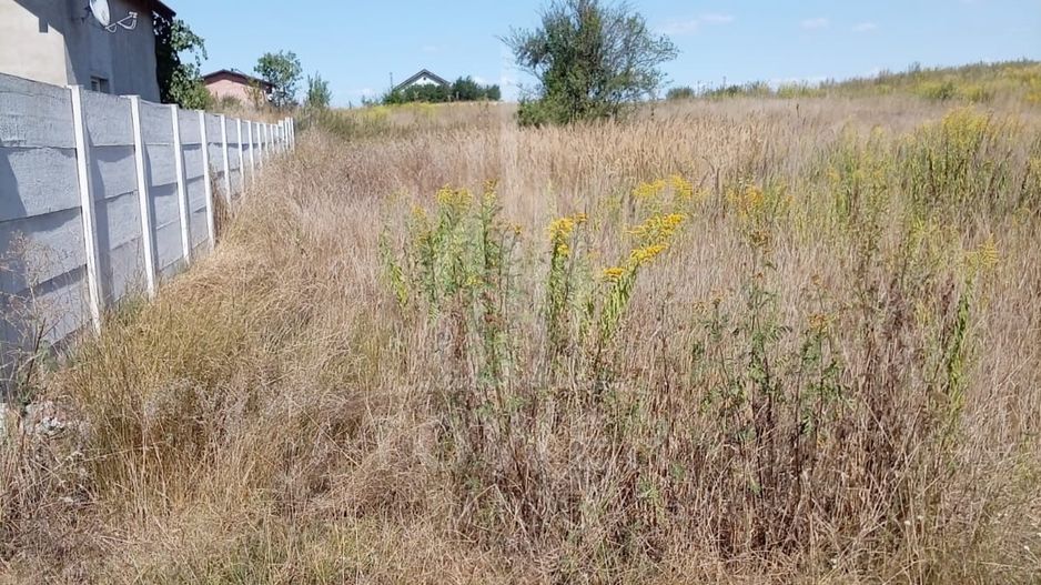 Teren intravilan de vânzare în Avrig | 1.000 mp | PUZ aprobat - Poză 2