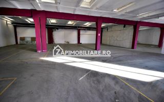 Hale la parter cu supafete utile de 580mp,250mp,330mp3,5euro - Poză 1