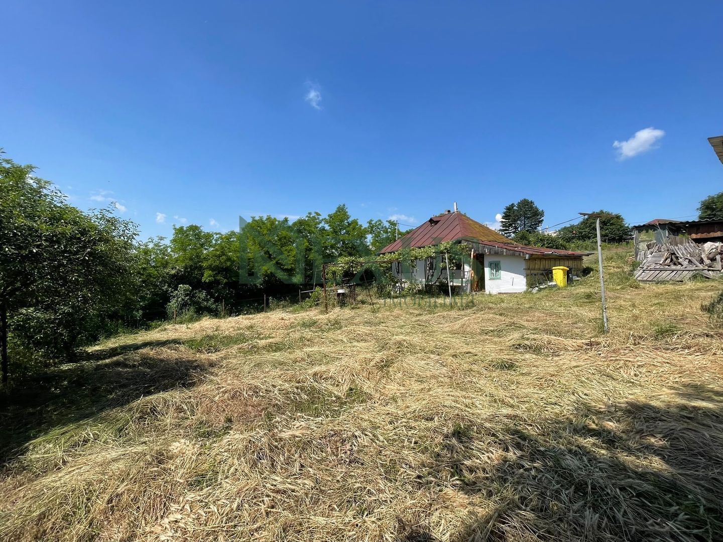 Casă bătrânească cu teren de 3.200 mp în Hertioana de Jos, jud.Bacău - Poză 4