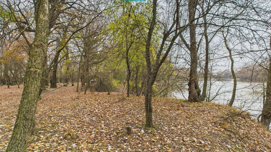 Teren spectaculos la  Periam Port - Poză 23