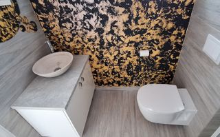 Locuinta insiruita cu 3 camere in Dumbravita - Poză 13