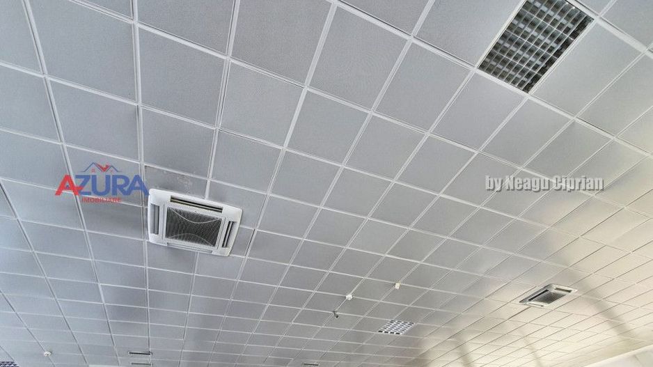 Spatiu Showroom + parcare, Stradal, DN65 Tiriac Auto Albota Pitesti - Poză 14