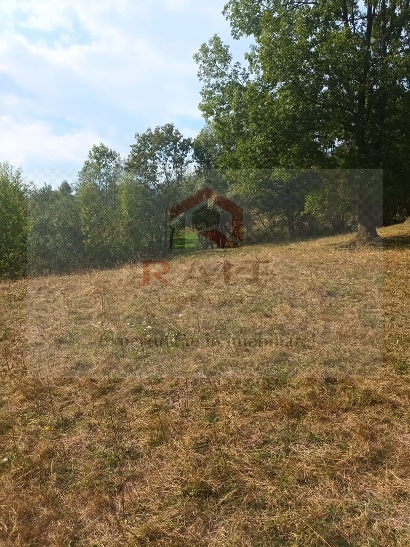 Teren de vanzare Coebeni-Turburea-Arges - Poză 3