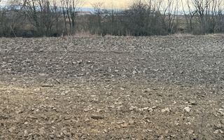 Teren extravilan | Rădăuți | 36 ARI - Poză 8