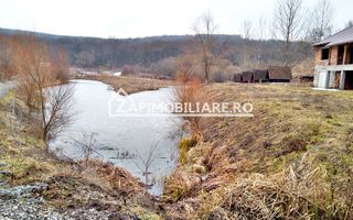 Casă 140 mp, 5800 mp teren, intravilan + Lac zona Vațman, Corunca - Poză 12