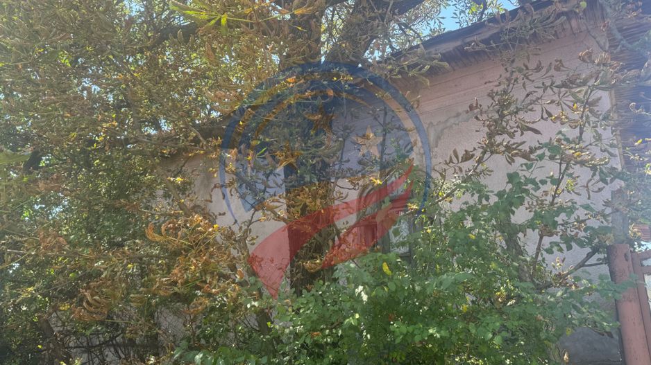 Teren/ casa demolabila Dutulesti - Poză 1