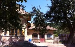 CASA 3 CAMERE, TEREN 4000 MP, MIHAESTI, ARGES - Poză 2