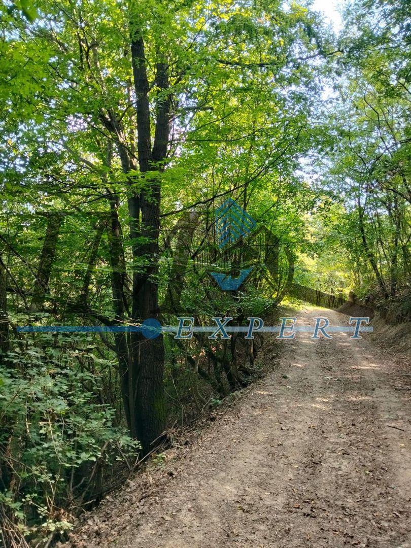 Vand teren in Poiana Ampoiului comuna Metes jud. Alba - Poză 1