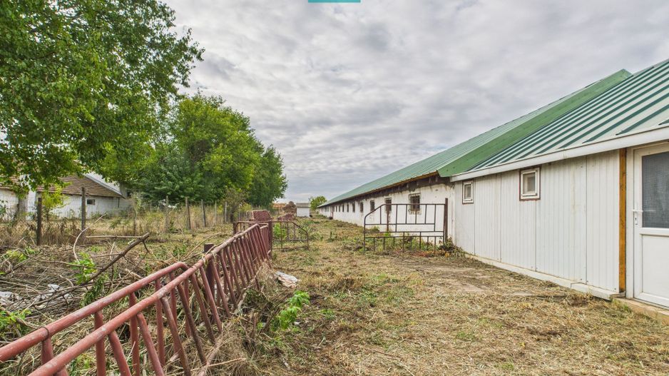Hală pentru producție / fermă zootehnică  - Variaș - Poză 17