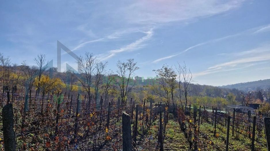 Teren intravilan 1308 mp Rediu | 9 min (5.8 km) Copou 9 min (5.8 km) Pacurari - Poză 3