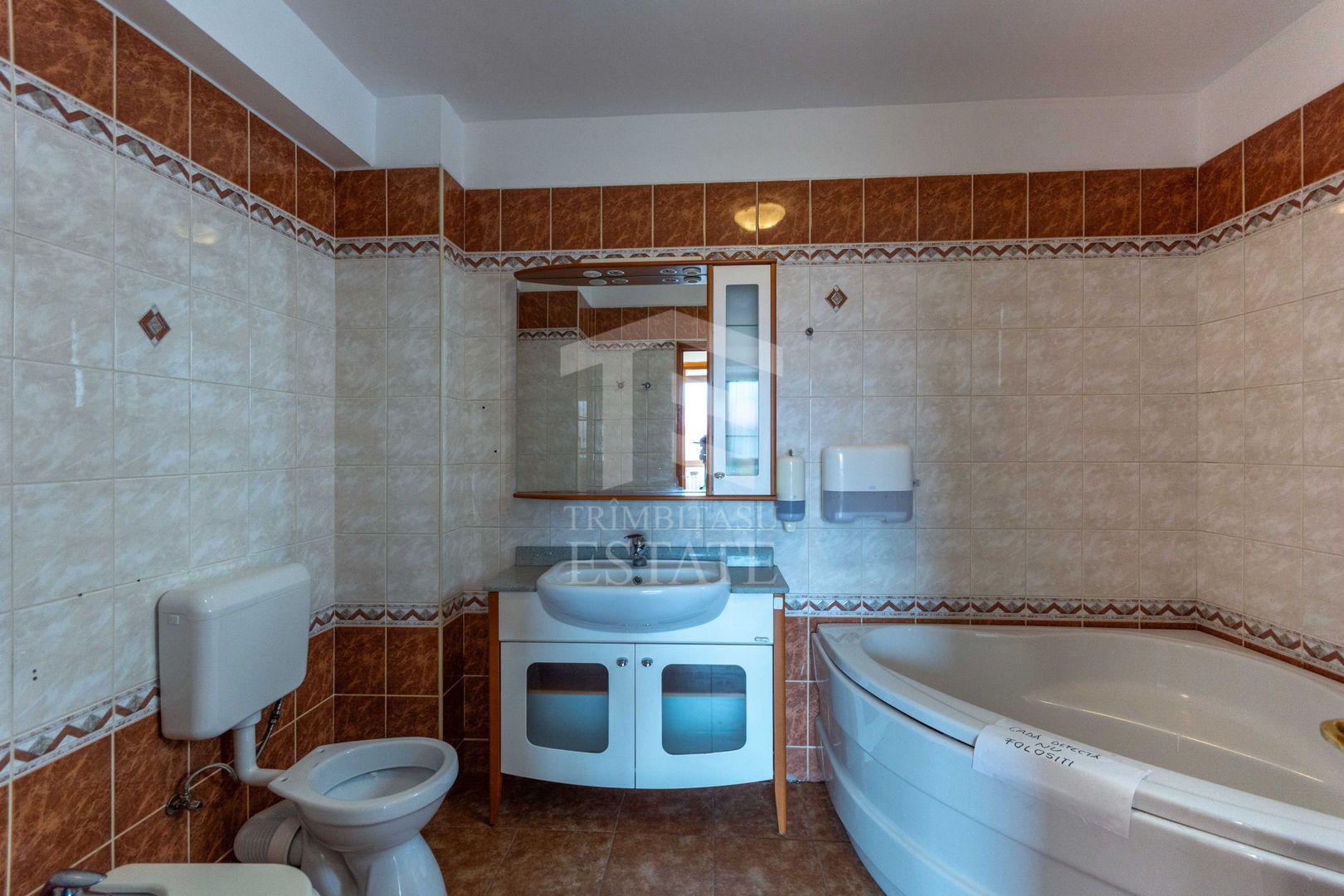 Aviatiei | Smaranda Braescu | Vila reprezentativa de inchiriat - Poză 40