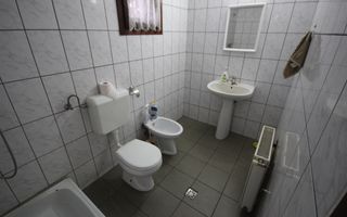 Imobil  cu destinatie mixta - Poză 22