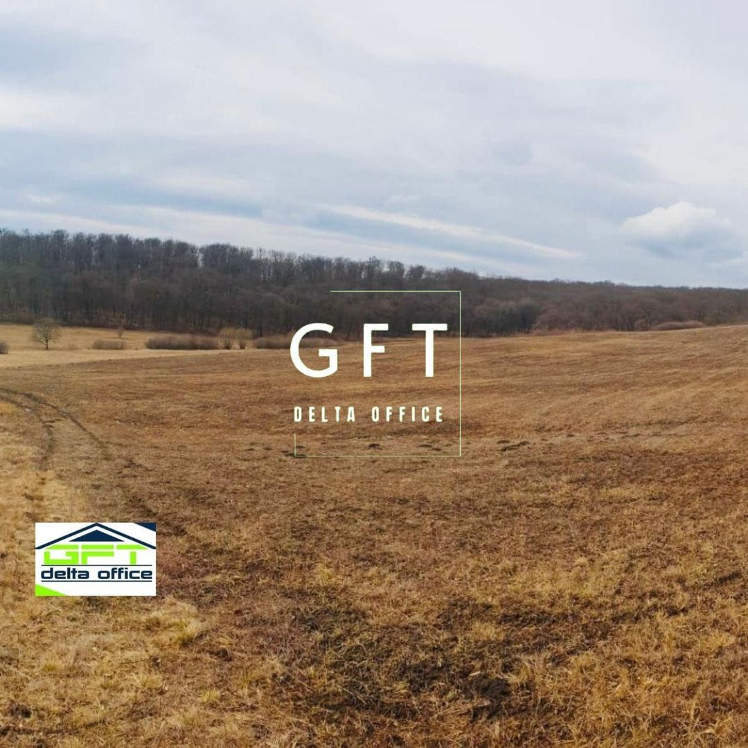 Teren de vanzare, Valea Castailor - Poză 2