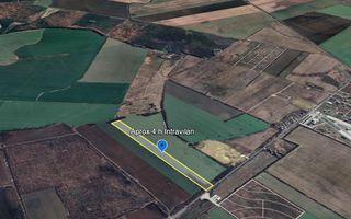 Teren intravilan – Crevedia – 62 de parcele – Acces din DN1A - Poză 3