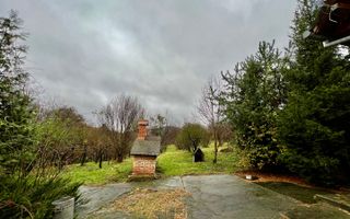 Casa de vanzare  in Talmacel-Teren 4000 mp cu livada+garaj - Poză 7