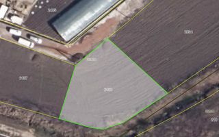 Teren pentru construcții Măgdăcești, Criuleni - Poză 1