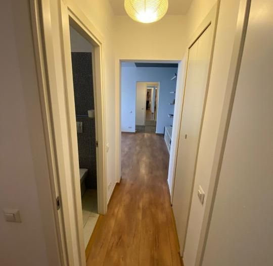 Apartament 2 camere  - Piata Iancului - Mihai Bravu - Poză 11