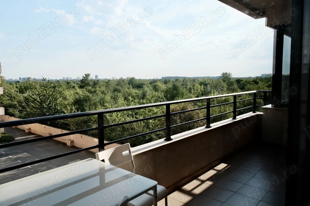 Apartament 4 Camere de lux, Iancu Nicolae - gradina zoo - Poză 25