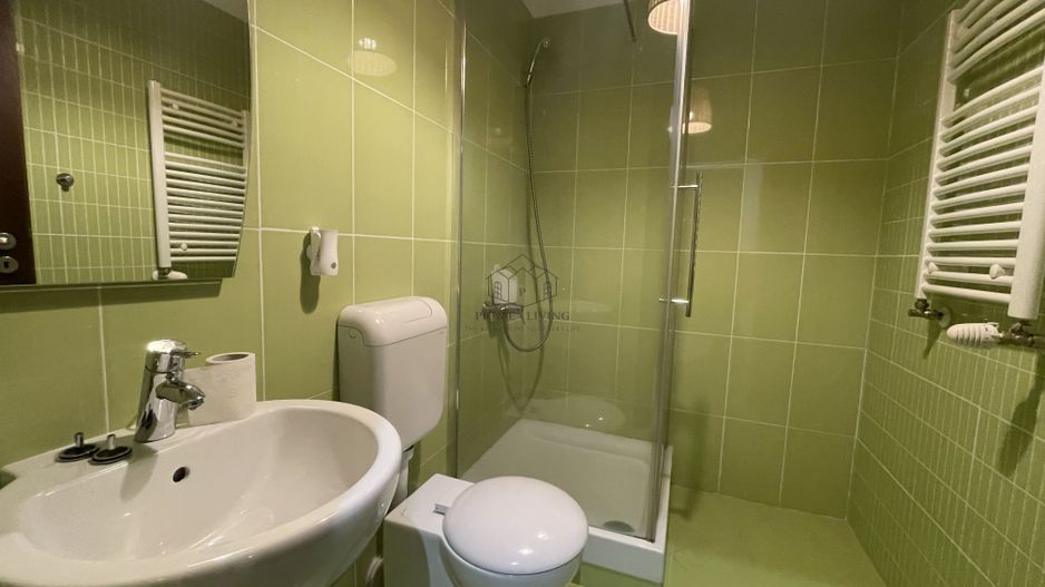 APARTAMENT SPATIOS LA INCHIRIERE IN COMPLEX REZIDENTIAL - Poză 8