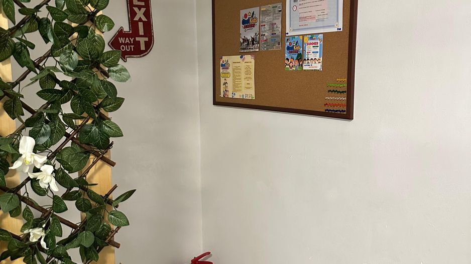 SPATIU COMERCIAL DOMENII, LOC PARCARE, CENTRALA, MOBILAT/UTILAT, CURTE - Poză 7