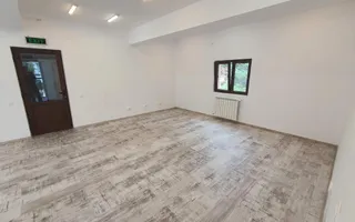 Vila Iancu Nicolae ideala pt birou | spa | educational | rezidential - Poză 12
