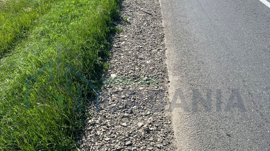 Teren extravilan de 29.300 mp, deschidere 41 m la E58, pe directia Iasi, intre Podul Iloaei si Letcani - Poză 5