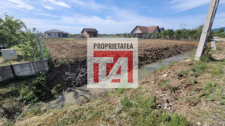 Teren intravilan  13 ari  Catallina - Poză 6